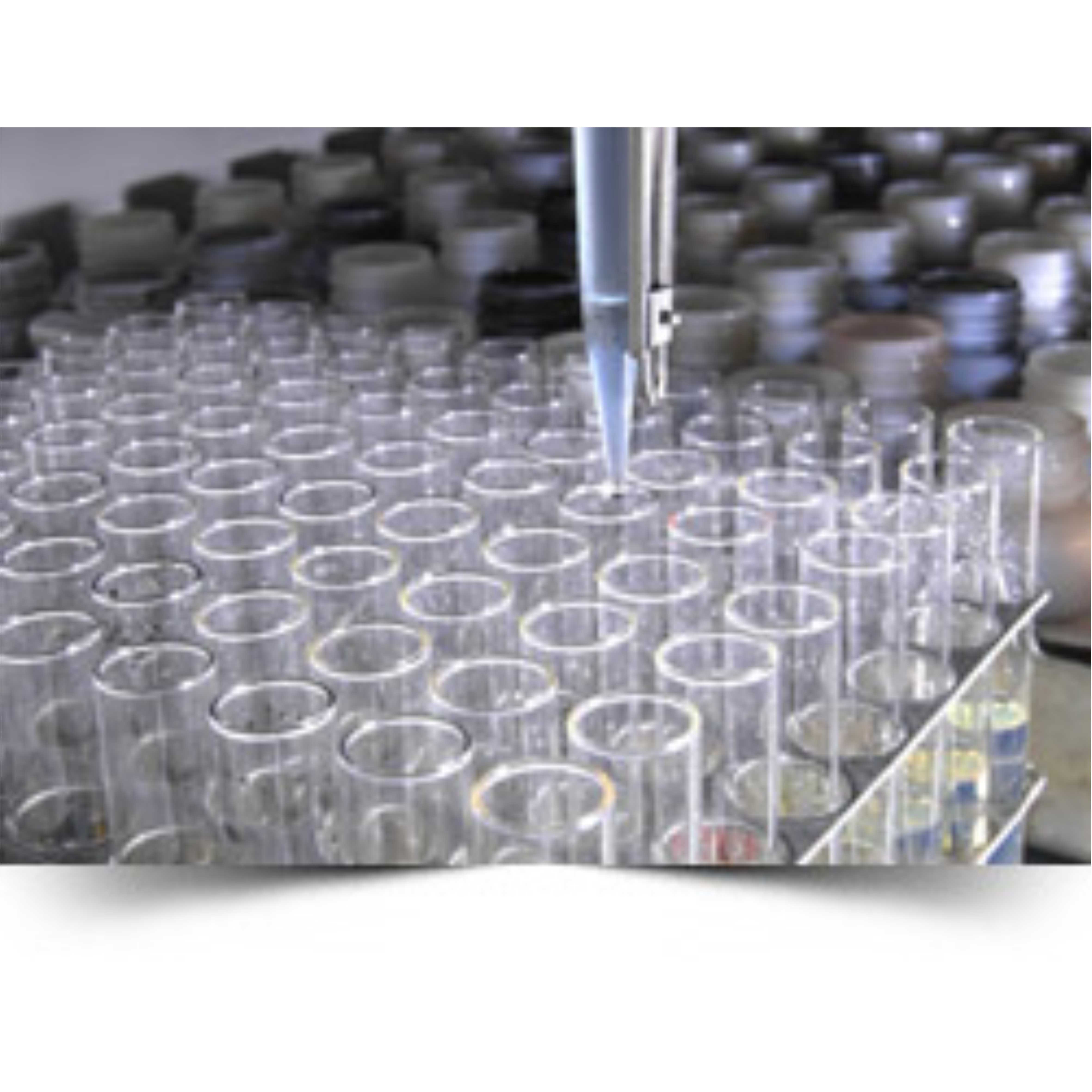 Diesel Fuel Sulphur Content Test